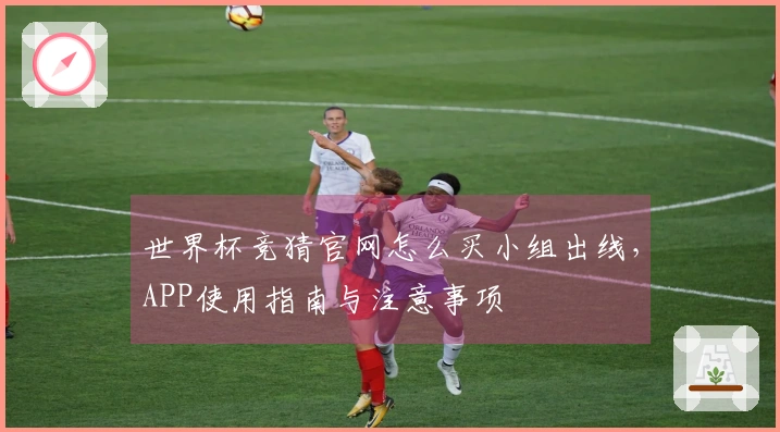 世界杯竞猜官网怎么买小组出线，APP使用指南与注意事项