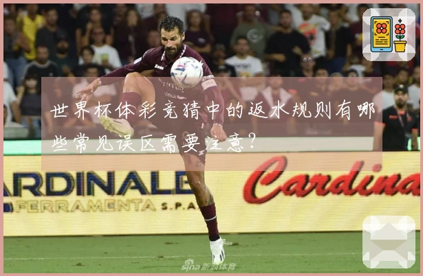 世界杯体彩竞猜中的返水规则有哪些常见误区需要注意？