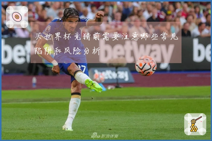 买世界杯竞猜前需要注意哪些常见陷阱和风险分析