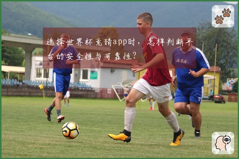 选择世界杯竞猜app时，怎样判断平台的安全性与可靠性？