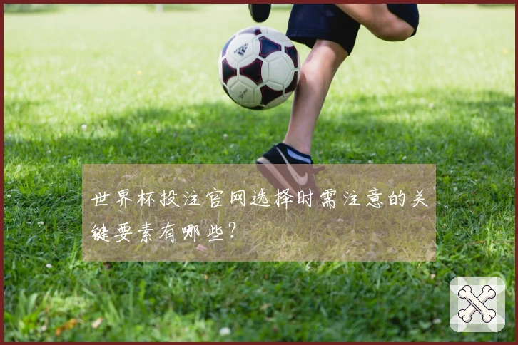 世界杯投注官网选择时需注意的关键要素有哪些？
