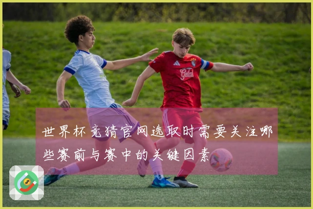 世界杯竞猜官网选取时需要关注哪些赛前与赛中的关键因素