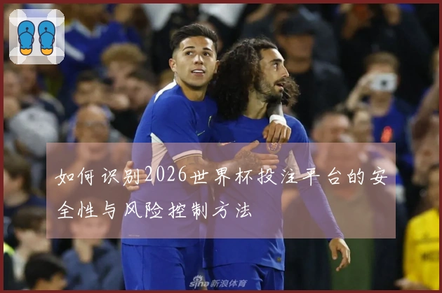 如何识别2026世界杯投注平台的安全性与风险控制方法