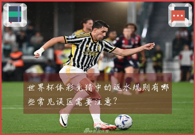 世界杯体彩竞猜中的返水规则有哪些常见误区需要注意？