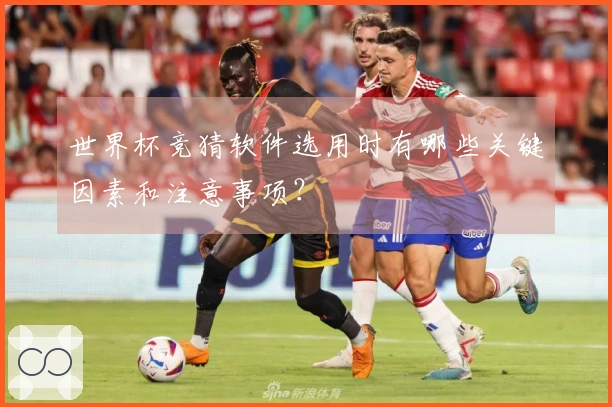 世界杯竞猜软件选用时有哪些关键因素和注意事项？
