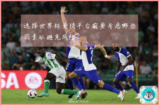 选择世界杯竞猜平台前要考虑哪些因素以避免风险?