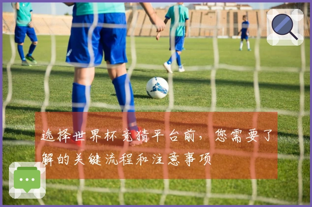 选择世界杯竞猜平台前，您需要了解的关键流程和注意事项