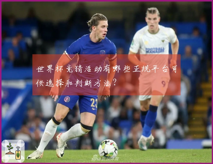 世界杯竞猜活动有哪些正规平台可供选择和判断方法？