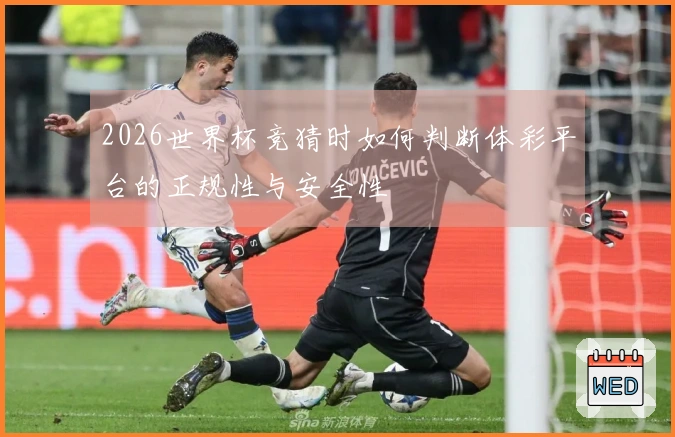2026世界杯竞猜时如何判断体彩平台的正规性与安全性