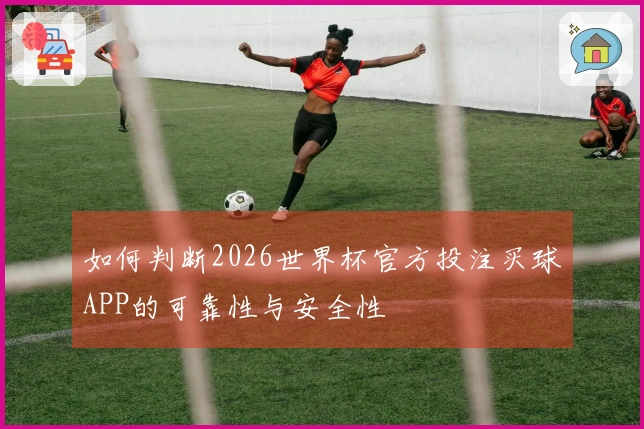如何判断2026世界杯官方投注买球APP的可靠性与安全性