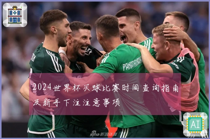 2024世界杯买球比赛时间查询指南及新手下注注意事项