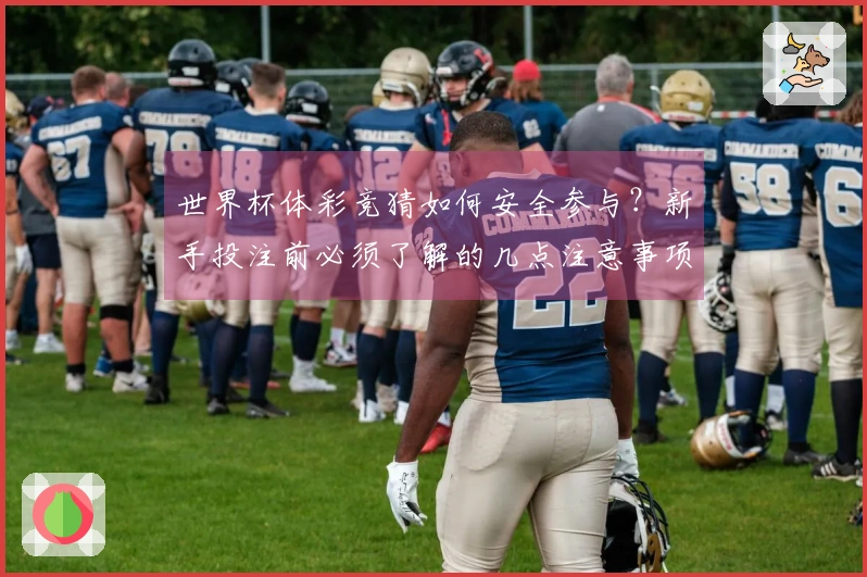 世界杯体彩竞猜如何安全参与？新手投注前必须了解的几点注意事项