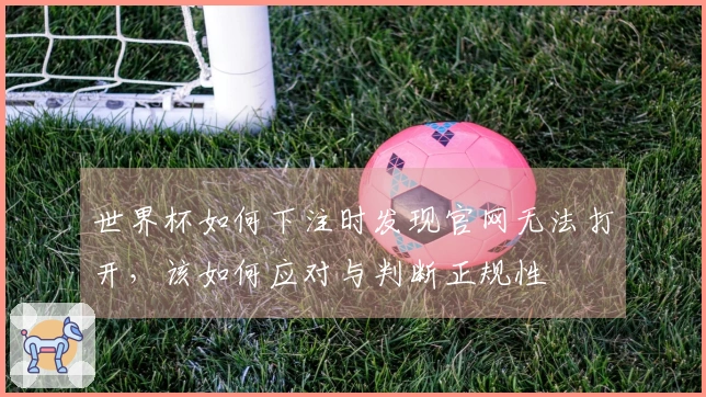 世界杯如何下注时发现官网无法打开，该如何应对与判断正规性