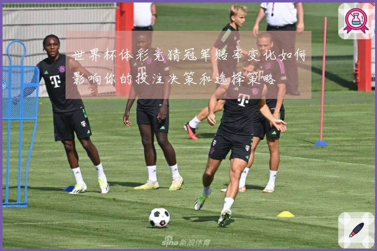 世界杯体彩竞猜冠军赔率变化如何影响你的投注决策和选择策略