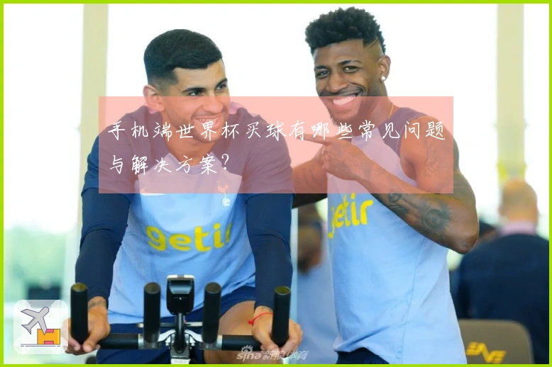 手机端世界杯买球有哪些常见问题与解决方案？