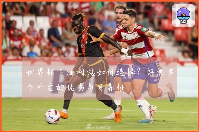 世界杯下注网站如何选择？评测多个平台的优劣与可靠性