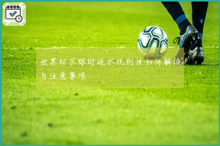 世界杯买球时返水规则该如何解读与注意事项