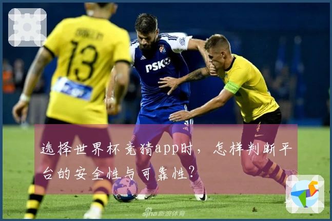选择世界杯竞猜app时，怎样判断平台的安全性与可靠性？