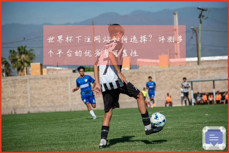 世界杯下注网站如何选择？评测多个平台的优劣与可靠性